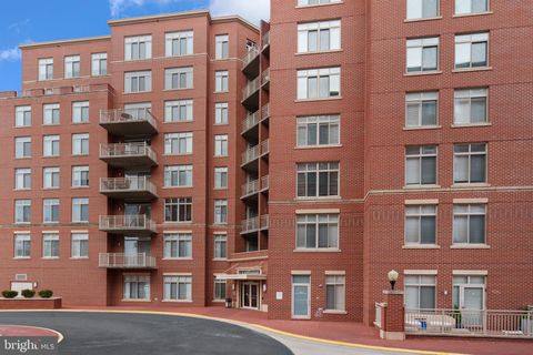 4480 MARKET COMMONS DRIVE 505 FAIRFAX VA 22033