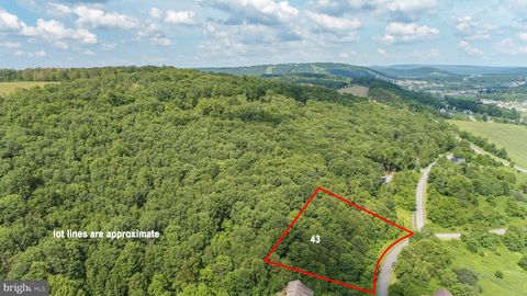 Vacant Land For Sale - 43 Smiley Face Lane<br/> MC HENRY, MD 21541
