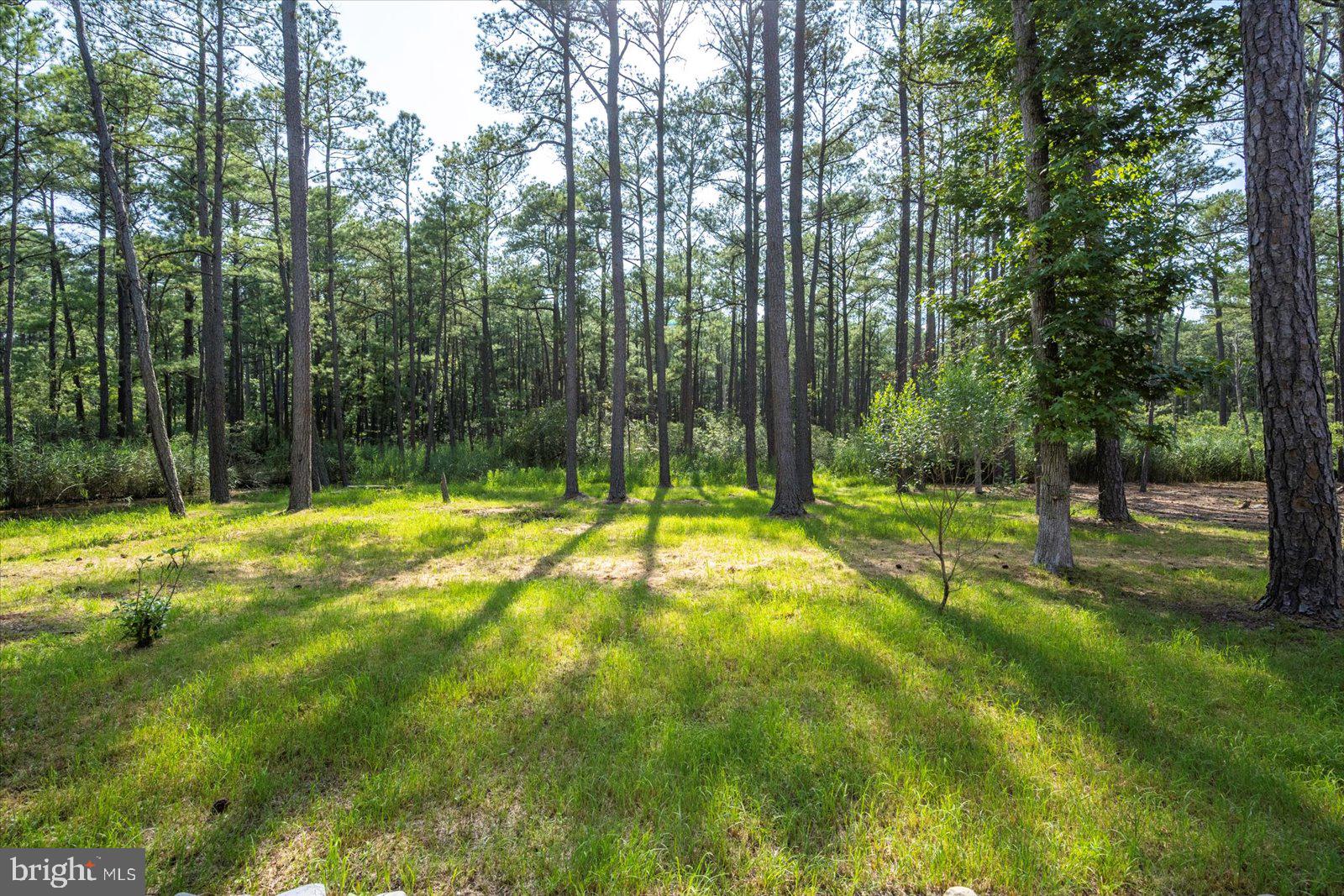 OCEAN PINES - WHITETAIL SANCTUARY - Residential