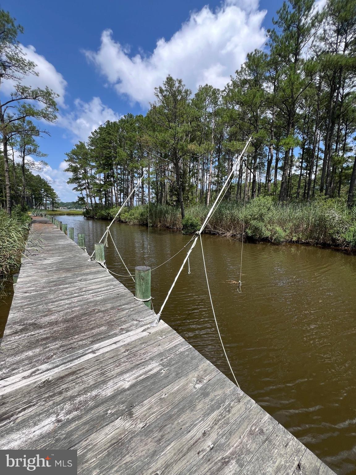 OCEAN PINES - WHITETAIL SANCTUARY - Residential