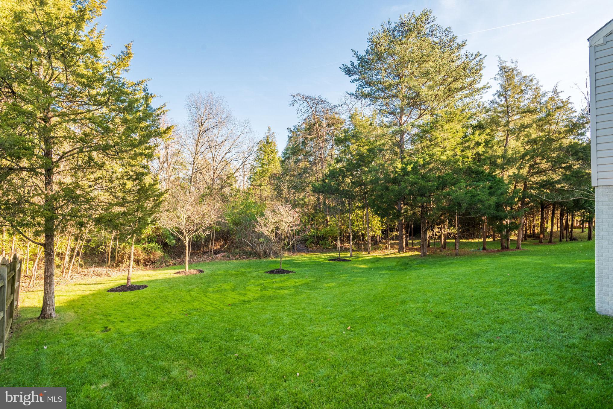 SOUTH VILLAGE - Residential