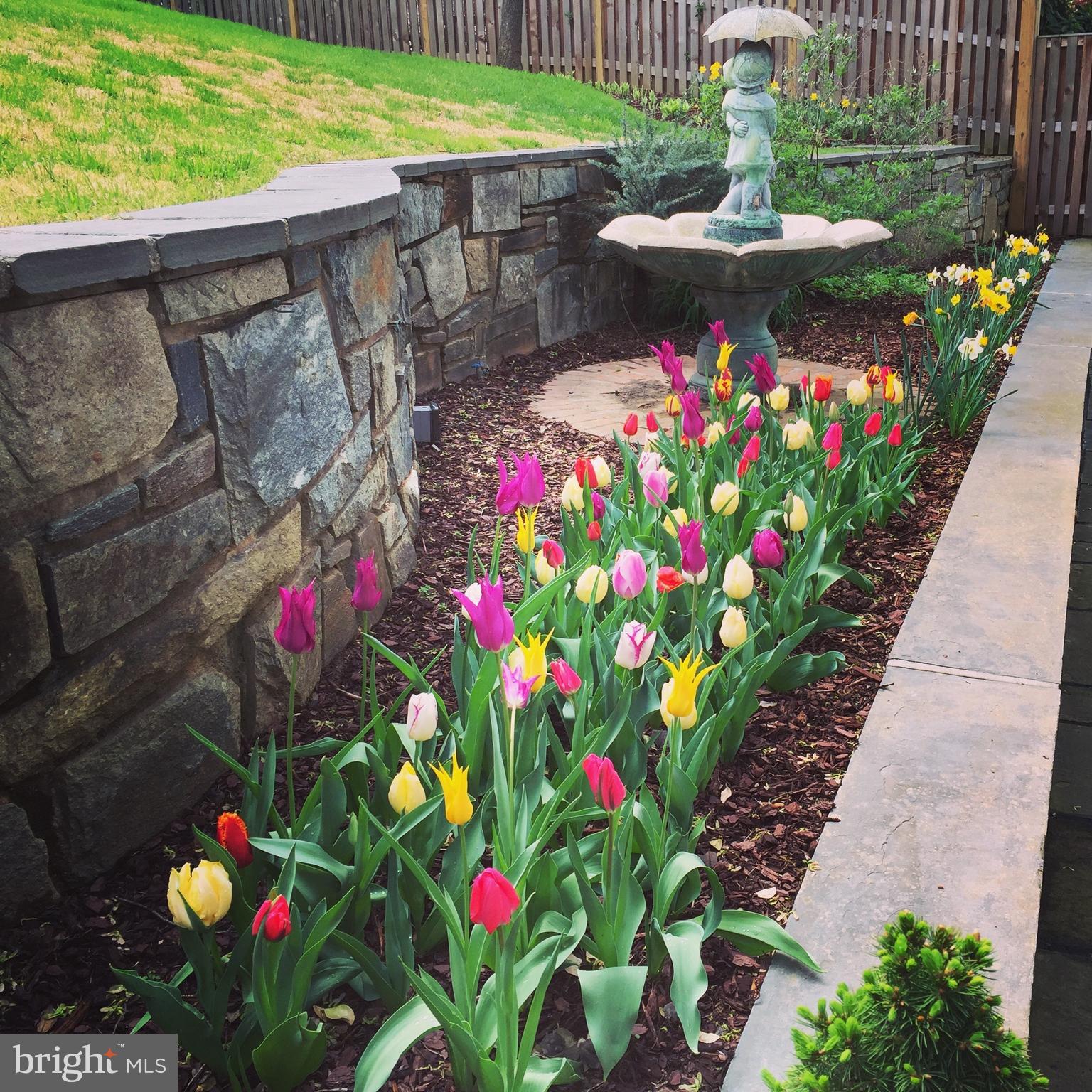 WESTOVER HILLS - Residential