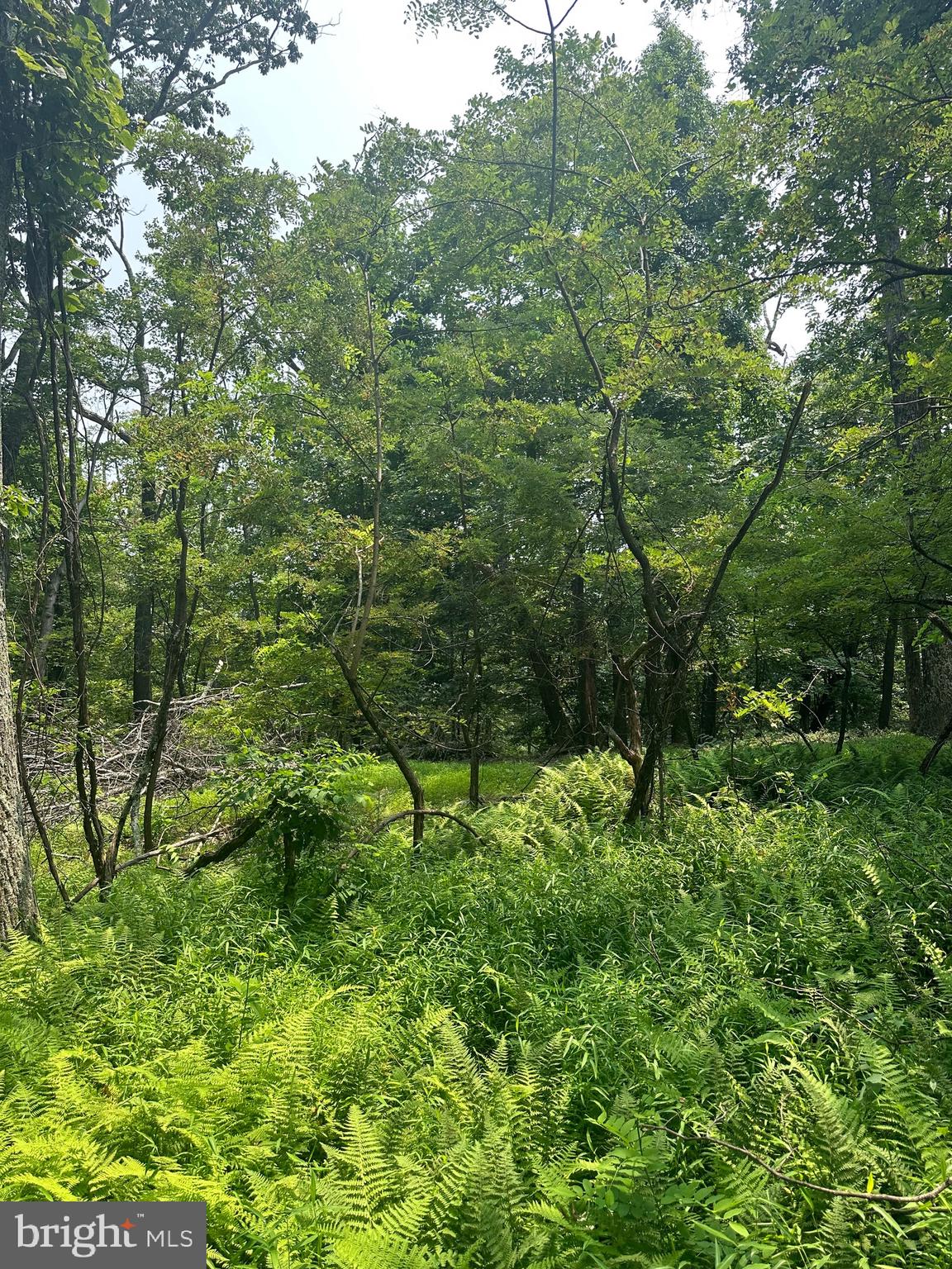 VALLEY HIGH TIMBER FARMS - Residential