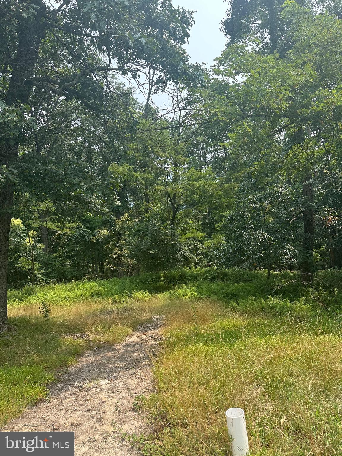 VALLEY HIGH TIMBER FARMS - Residential