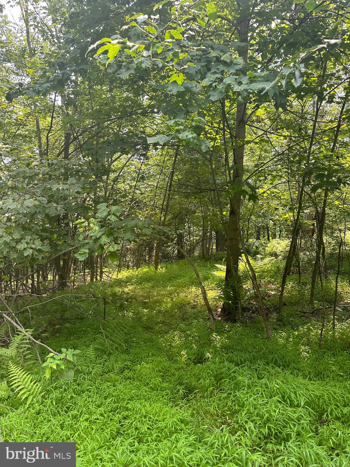 VALLEY HIGH TIMBER FARMS - Residential