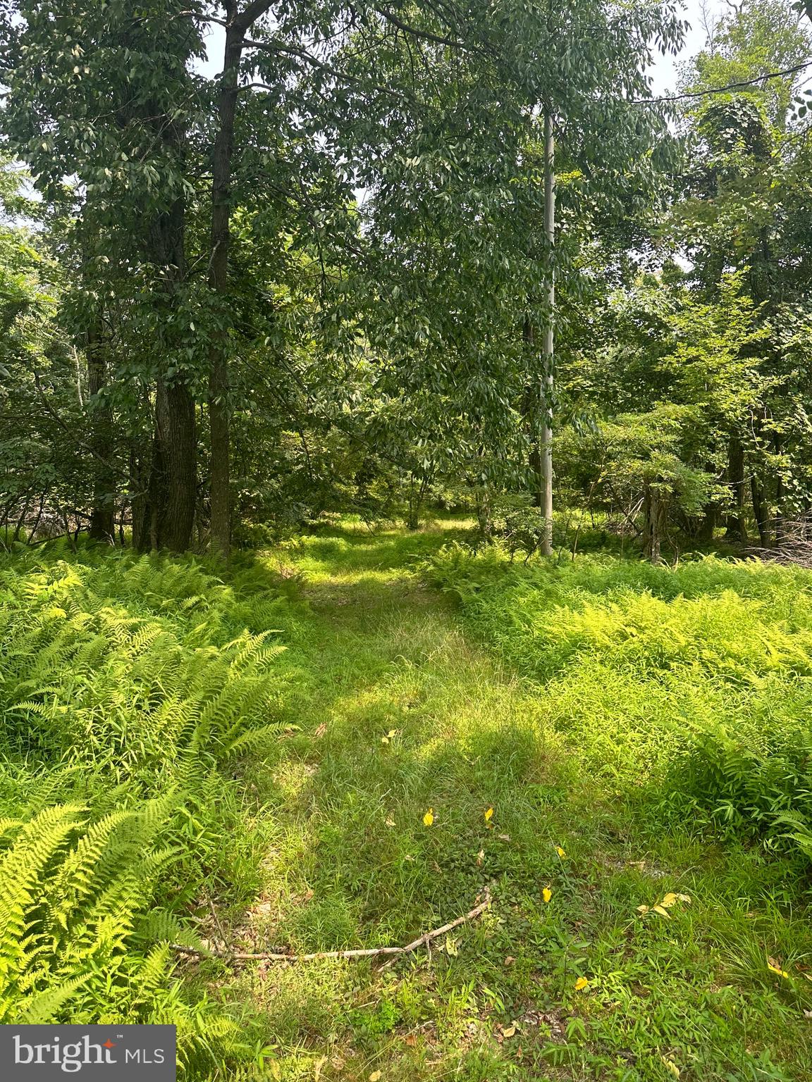 VALLEY HIGH TIMBER FARMS - Residential