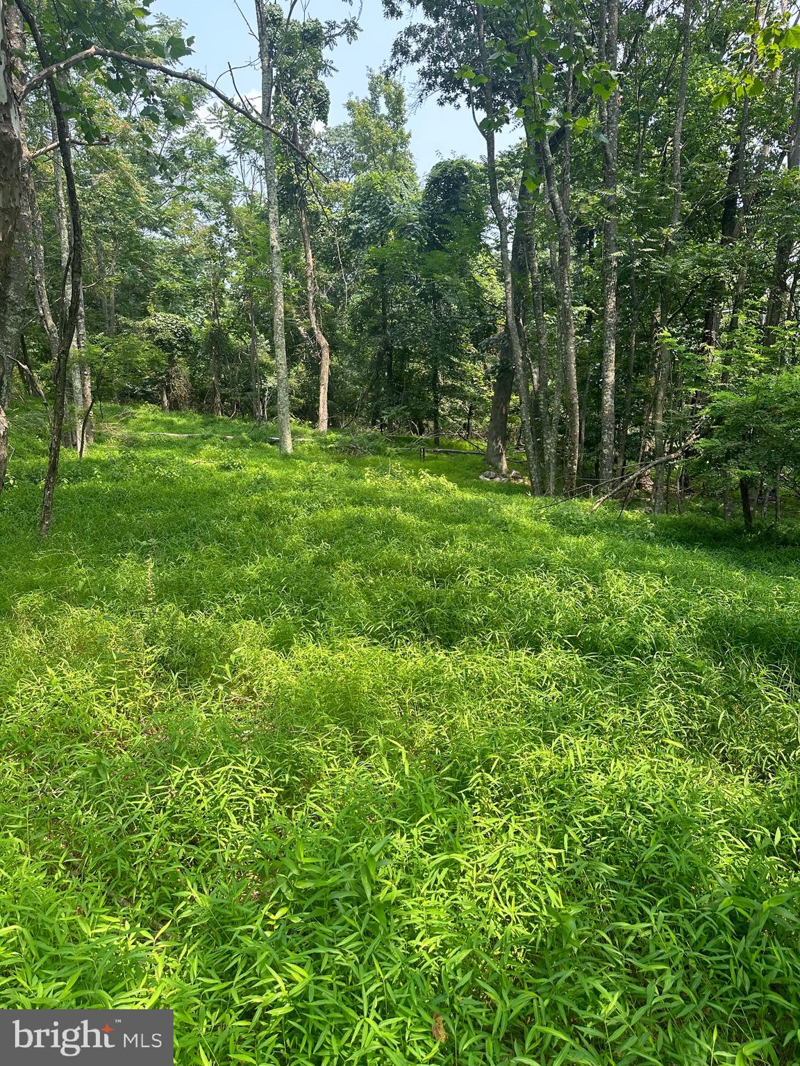 VALLEY HIGH TIMBER FARMS - Residential