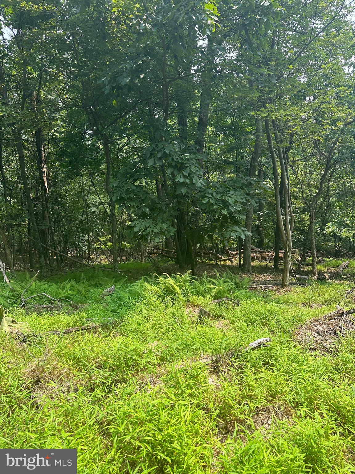 VALLEY HIGH TIMBER FARMS - Residential