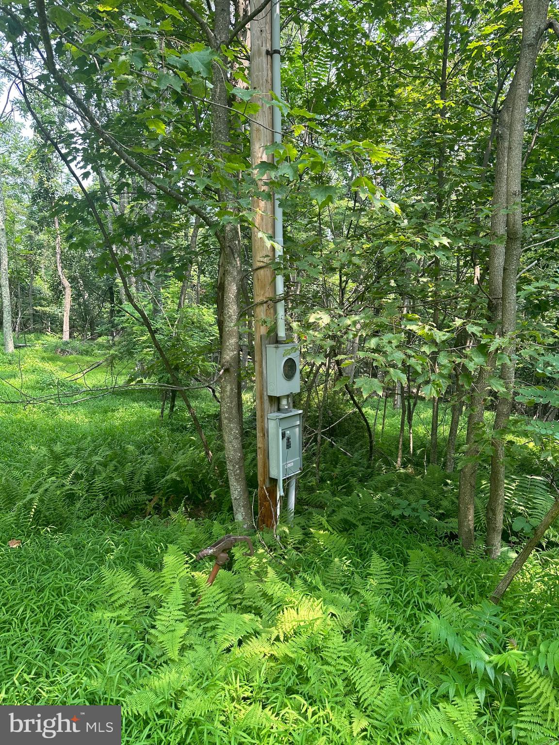 VALLEY HIGH TIMBER FARMS - Residential