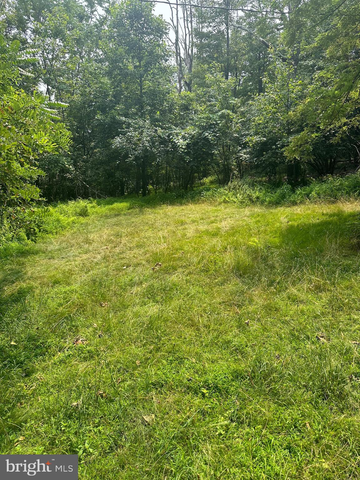 VALLEY HIGH TIMBER FARMS - Residential