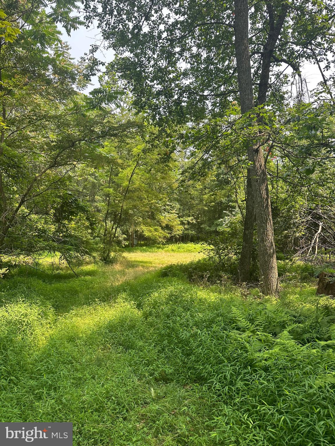 VALLEY HIGH TIMBER FARMS - Residential