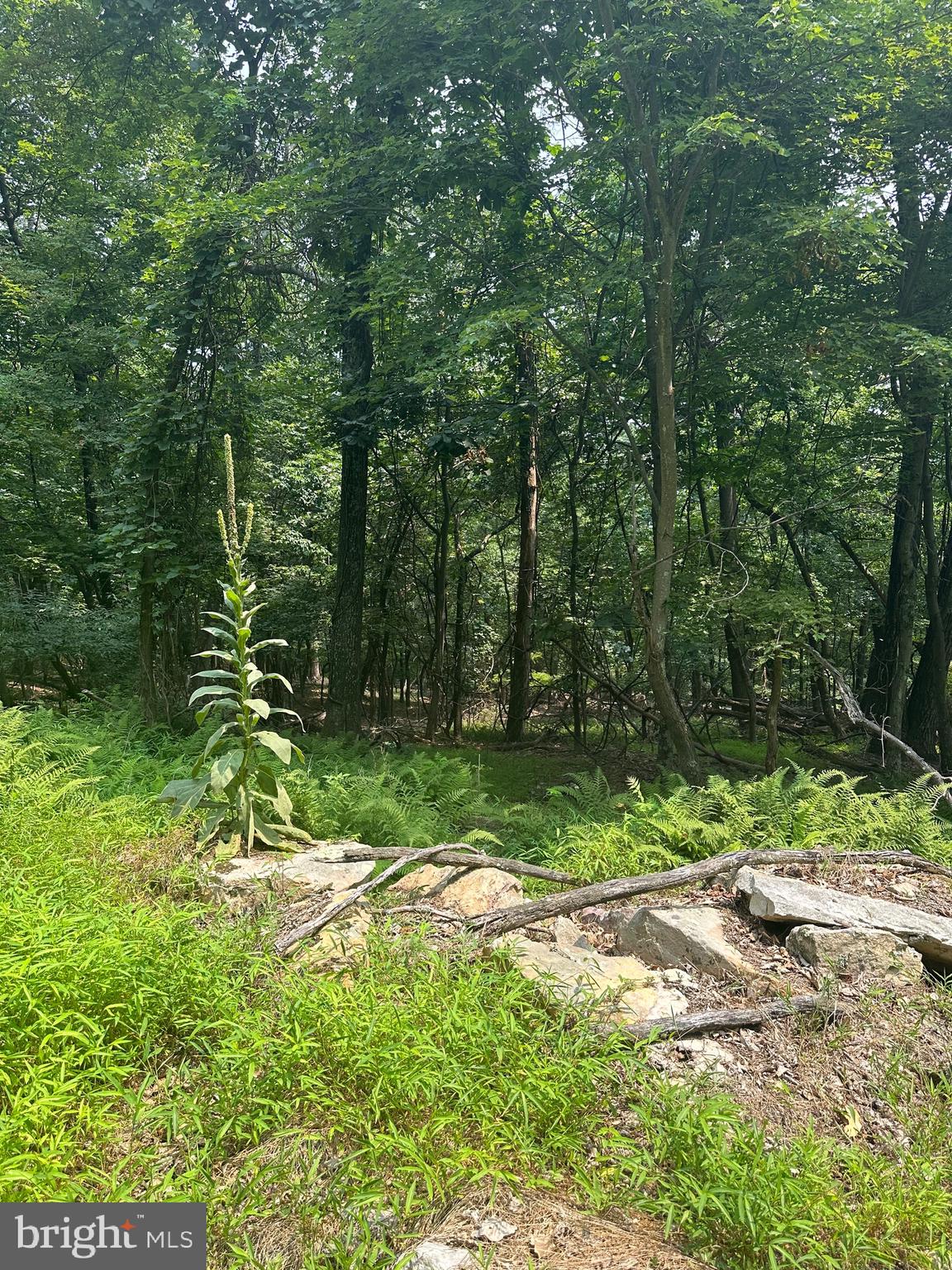 VALLEY HIGH TIMBER FARMS - Residential