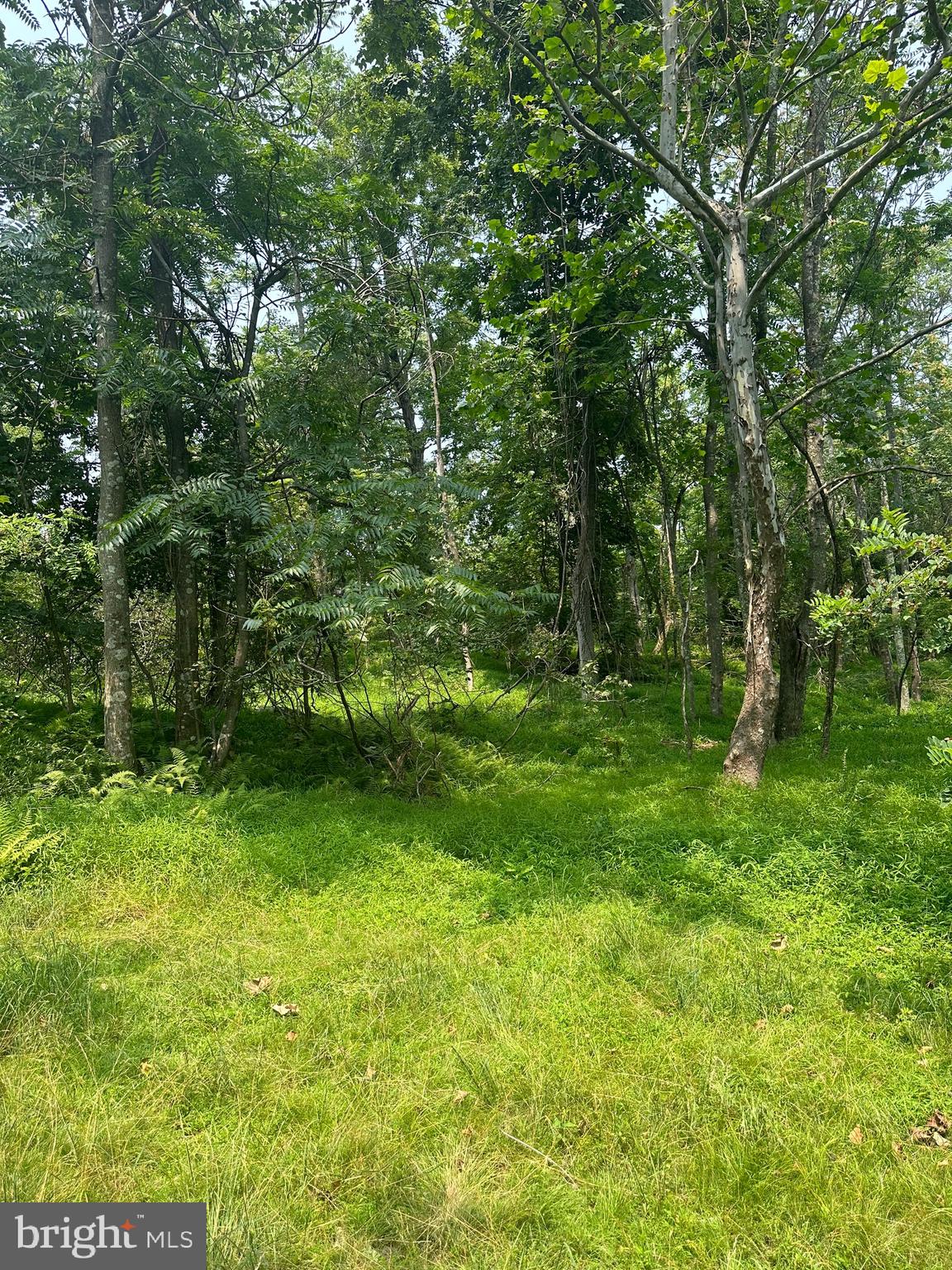 VALLEY HIGH TIMBER FARMS - Residential