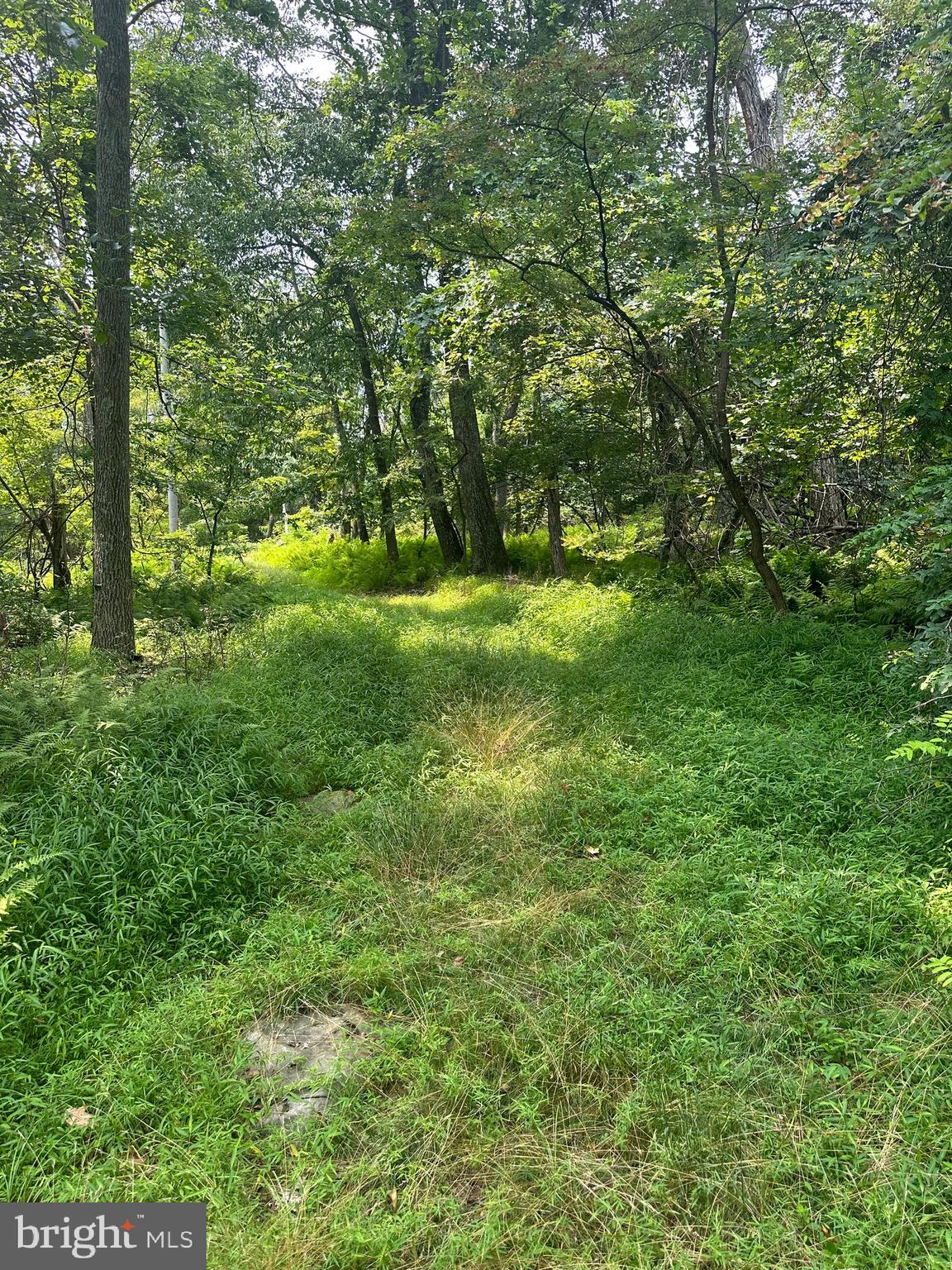 VALLEY HIGH TIMBER FARMS - Residential