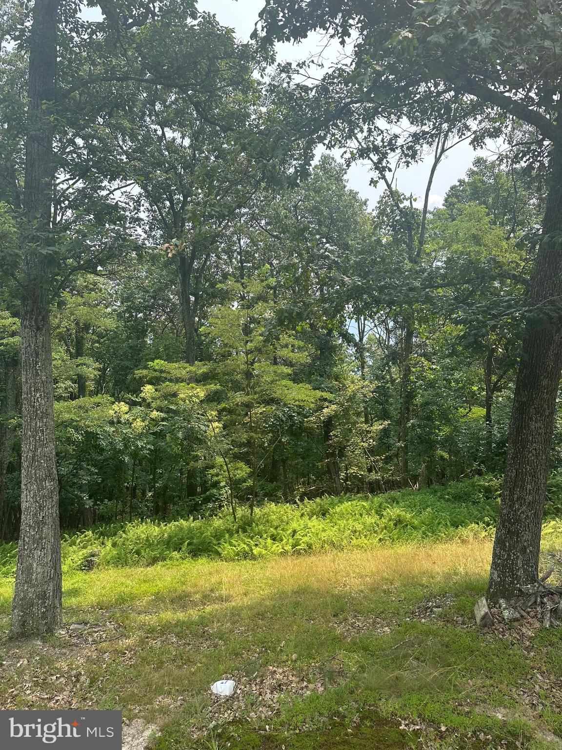 VALLEY HIGH TIMBER FARMS - Residential