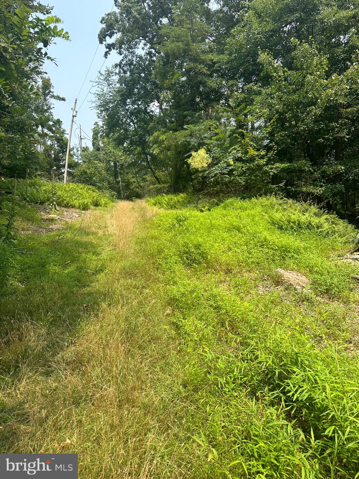 VALLEY HIGH TIMBER FARMS - Residential