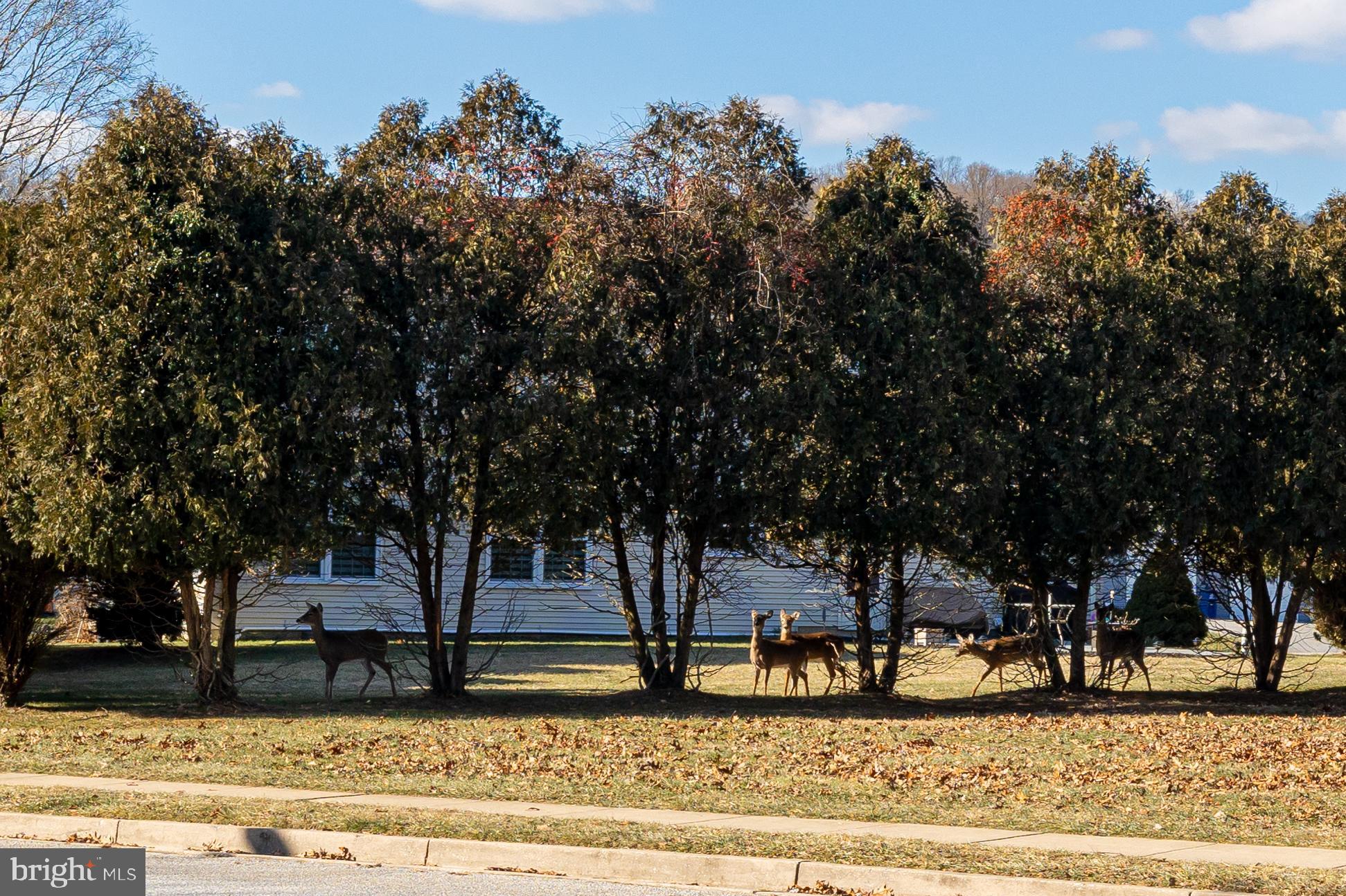 MAYS CHAPEL VILLAGE - Residential