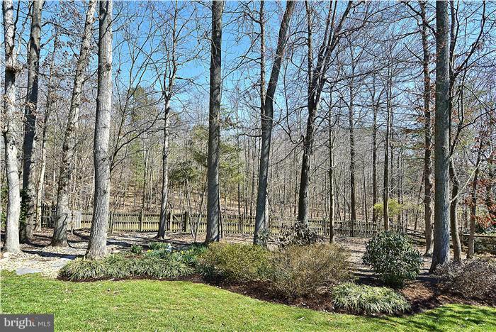 SOUTH RUN FOREST - Residential