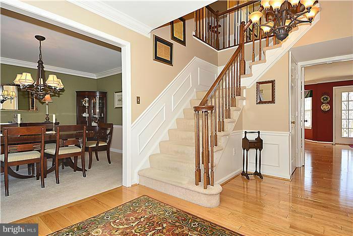 SOUTH RUN FOREST - Residential