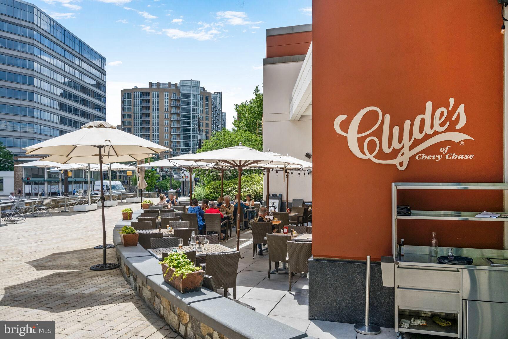 CHEVY CHASE VILLAGE - Residential