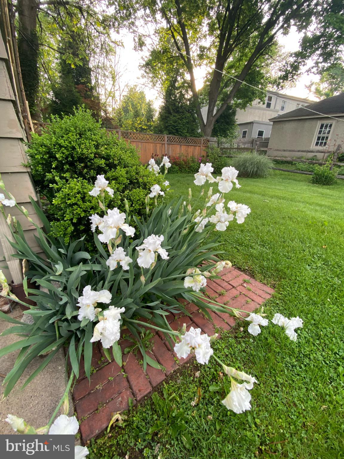 CHESNEY DOWNS - Residential