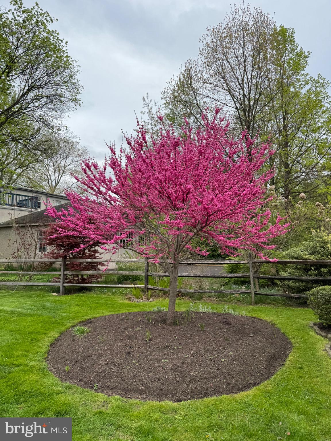 CHESNEY DOWNS - Residential