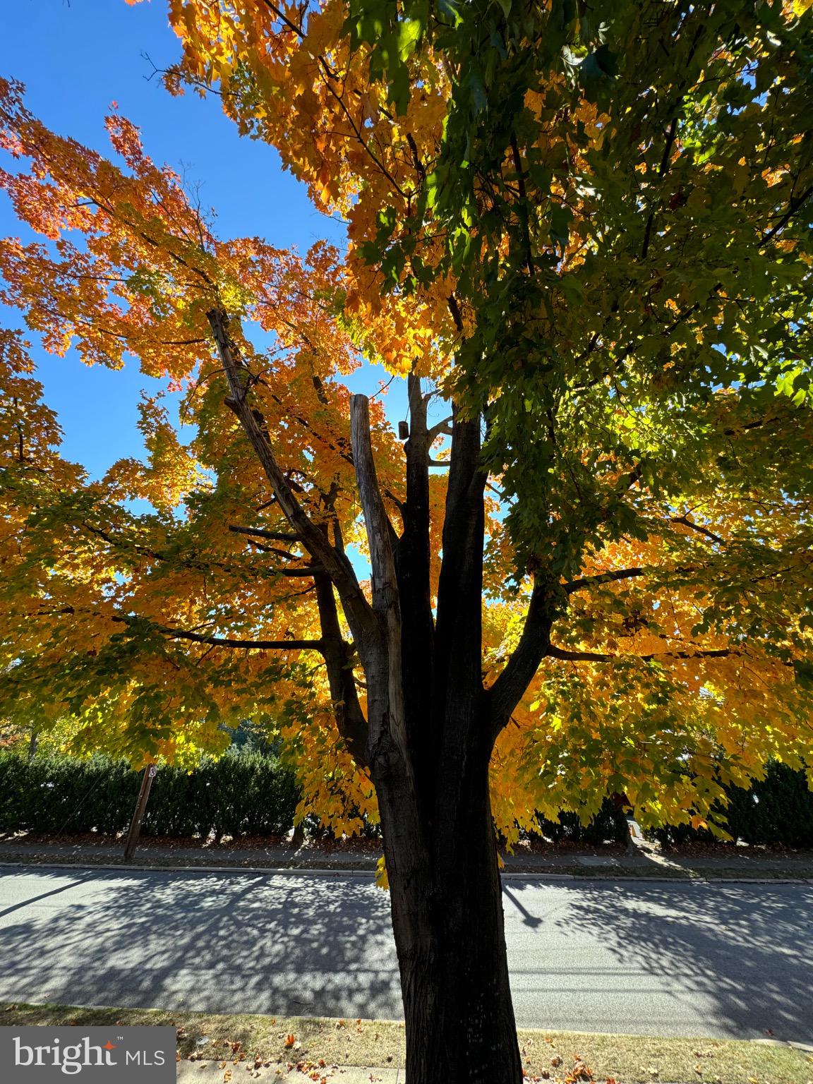CHESNEY DOWNS - Residential