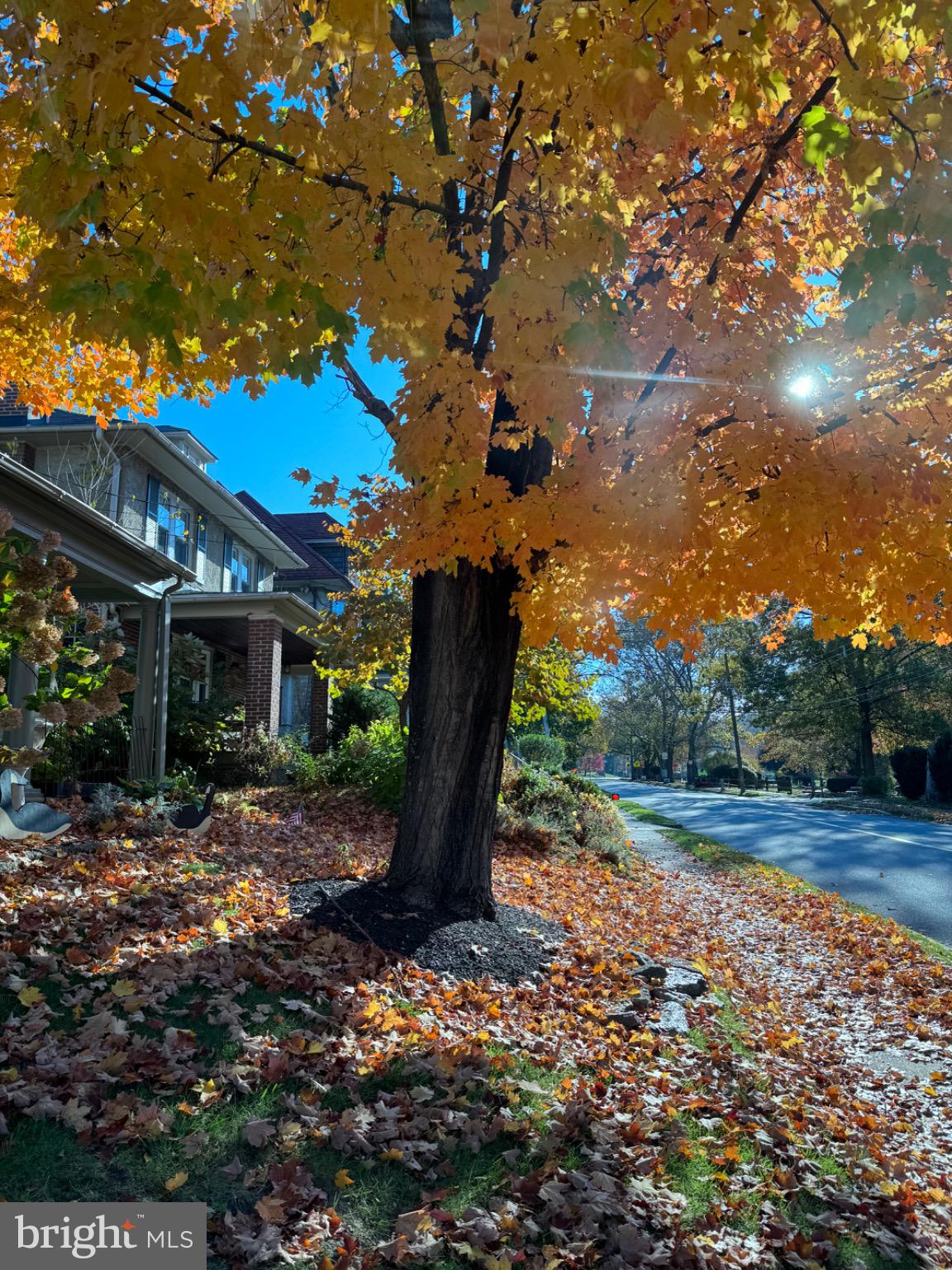 CHESNEY DOWNS - Residential