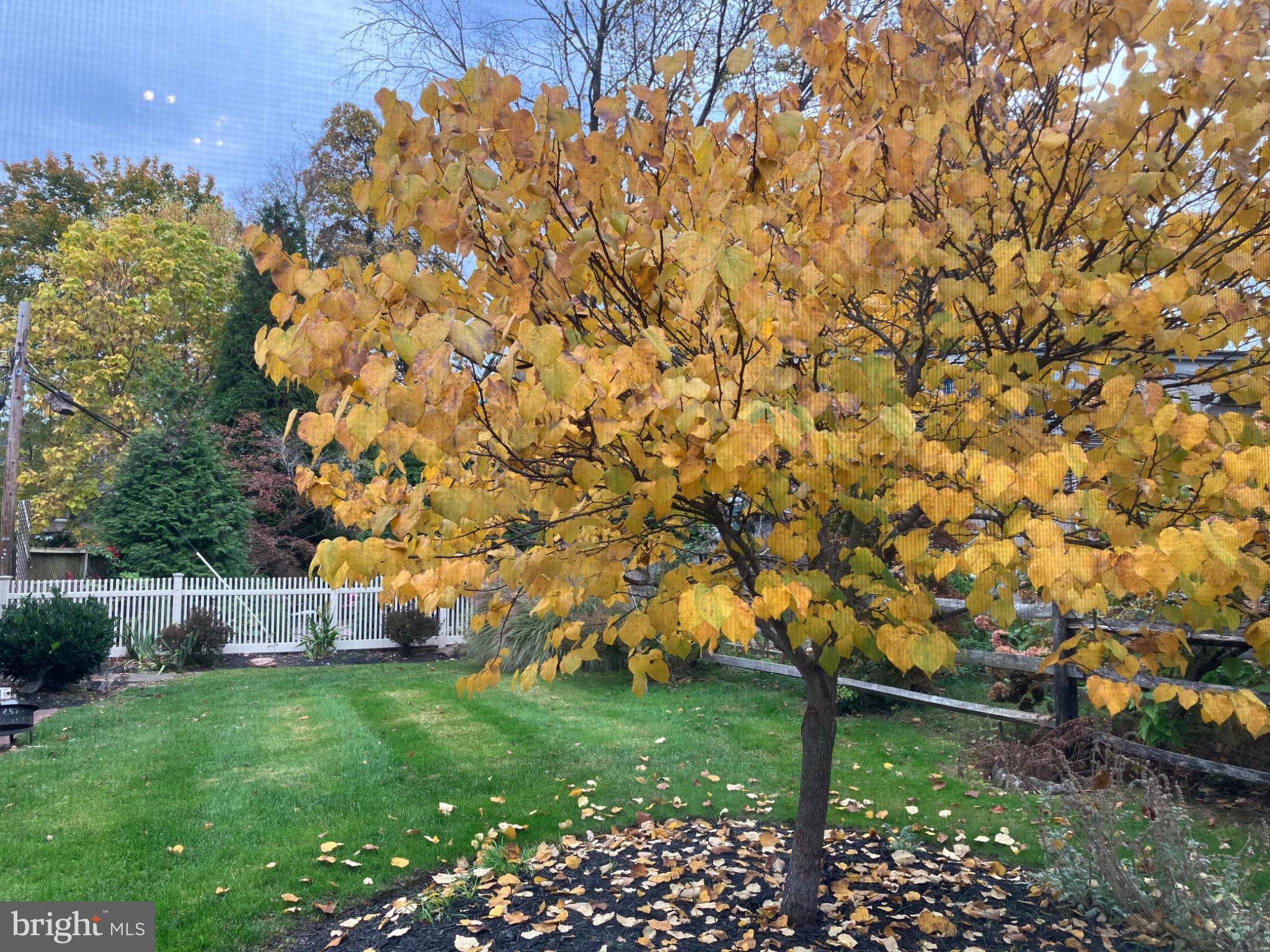 CHESNEY DOWNS - Residential