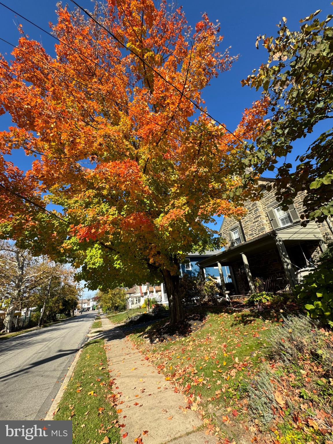 CHESNEY DOWNS - Residential