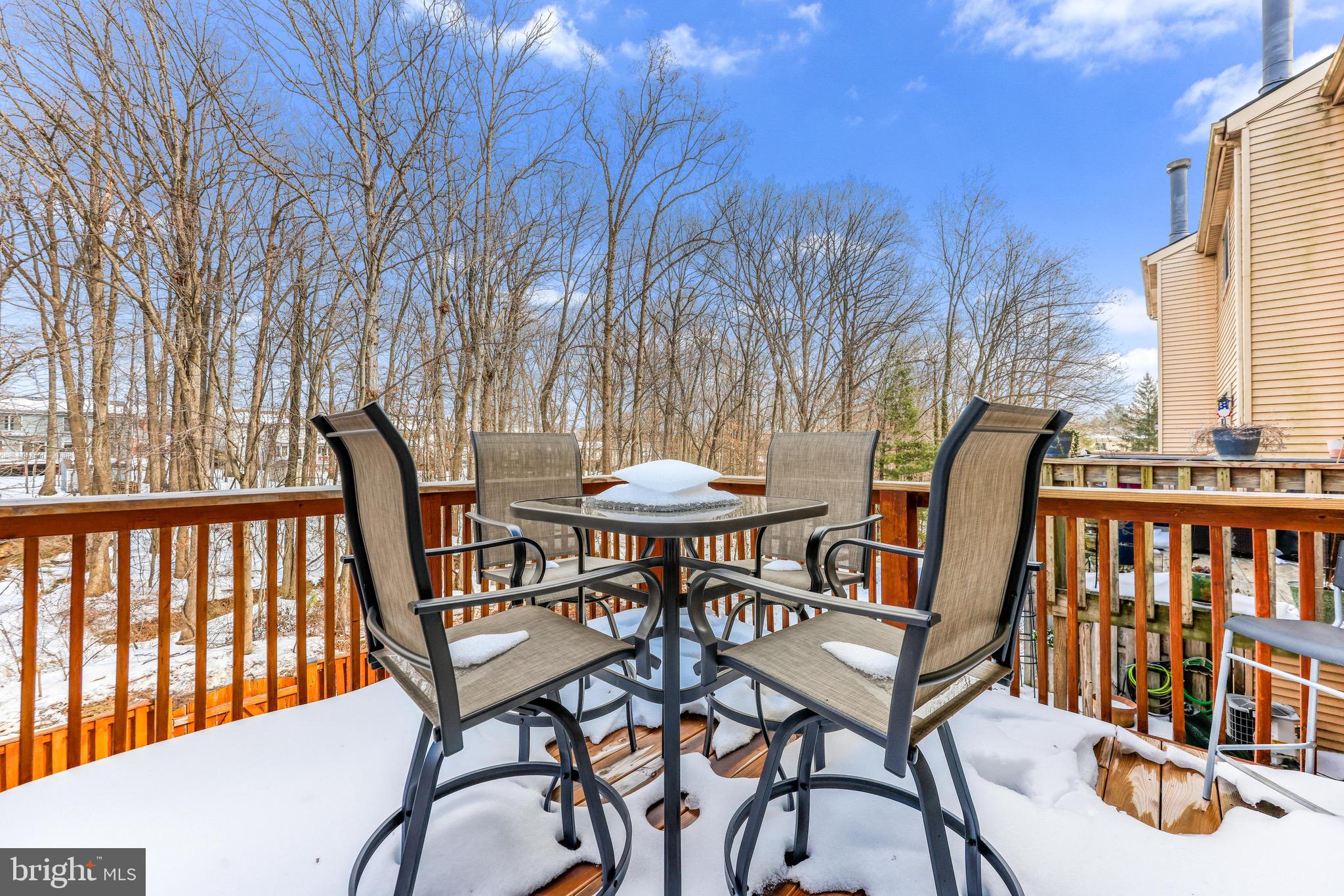 SILVER SPRING STATION - Residential