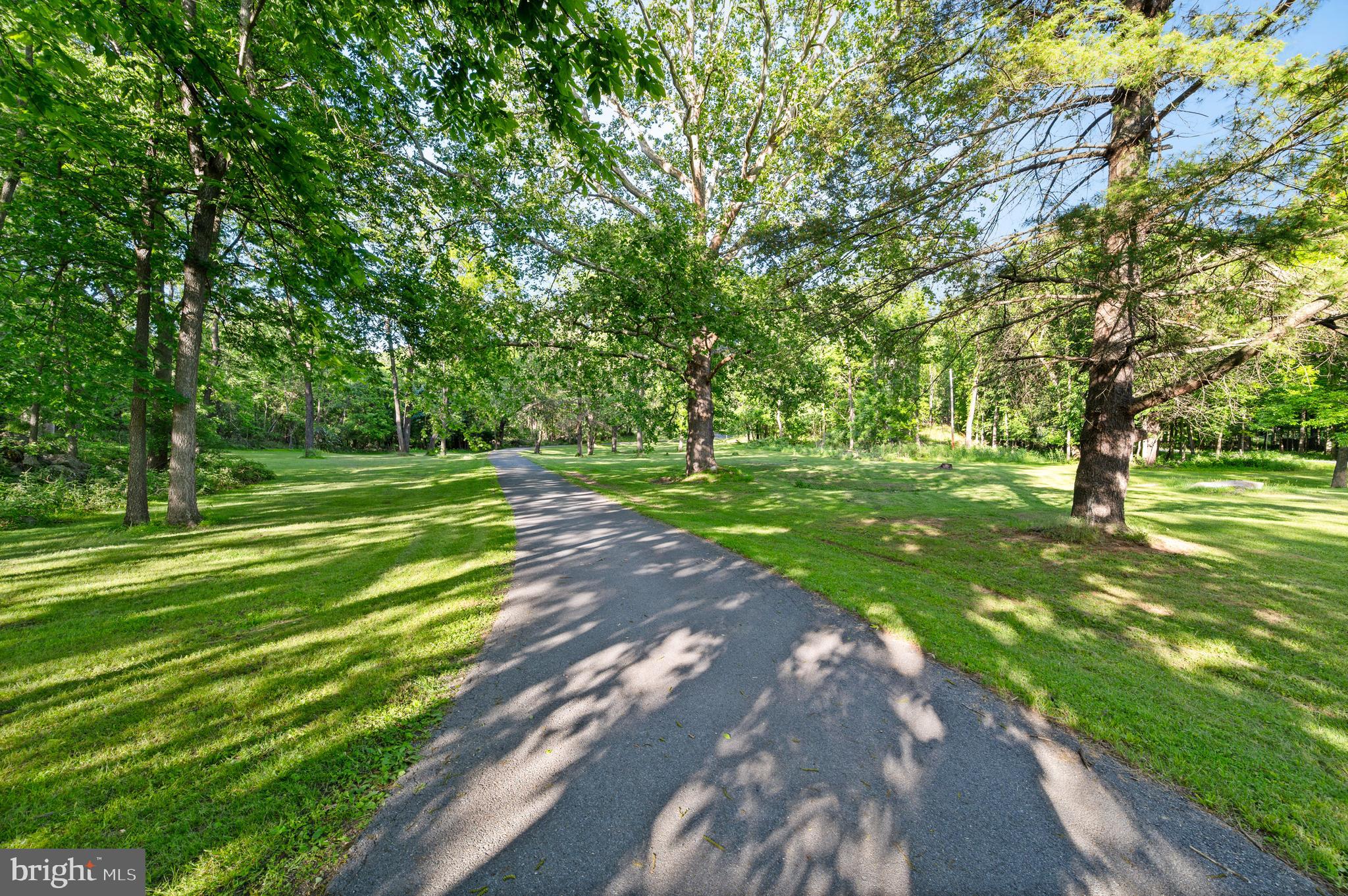 SHENANDOAH FARMS - Residential