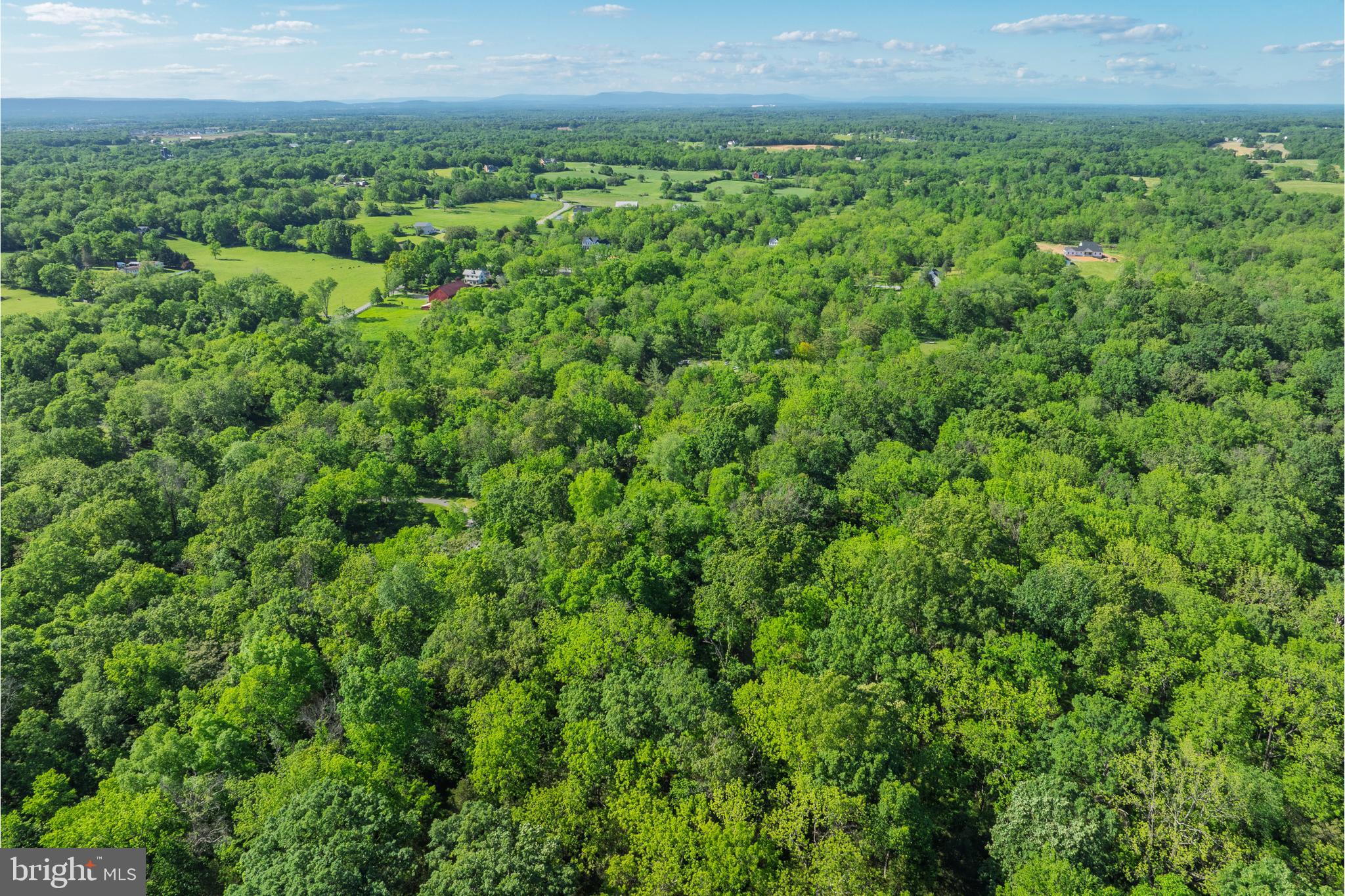 SHENANDOAH FARMS - Residential