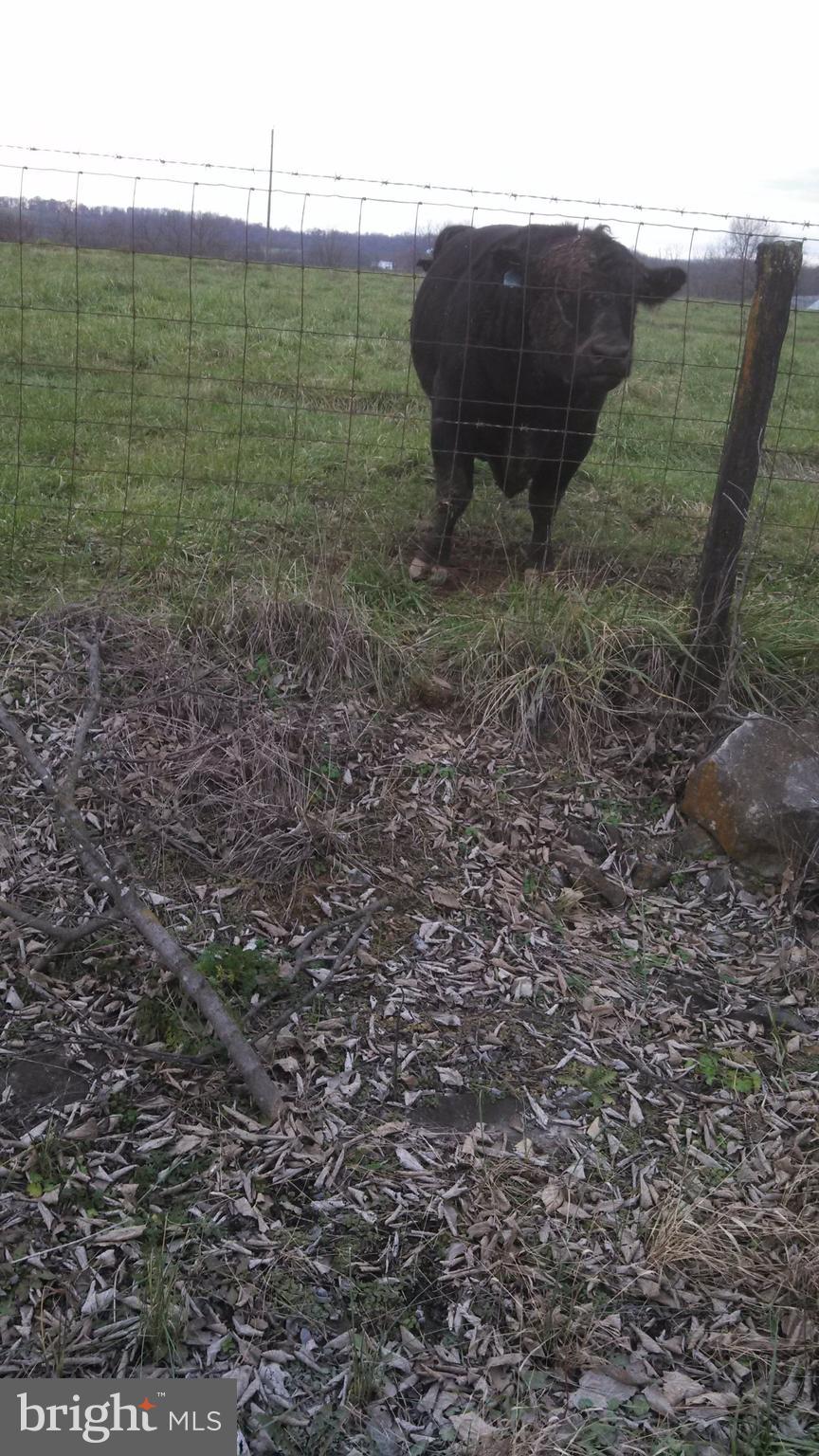 NONE AVAILABLE - Farm