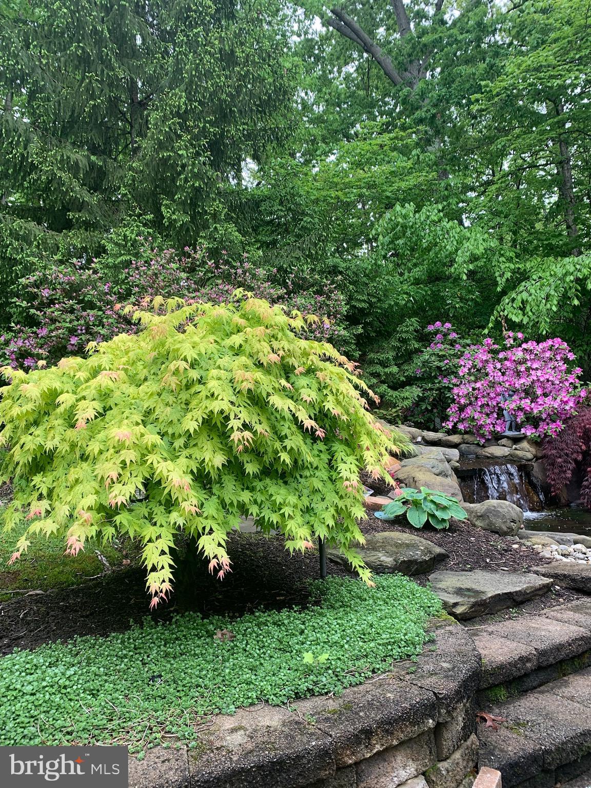 SOUTH RIVER COLONY - Residential