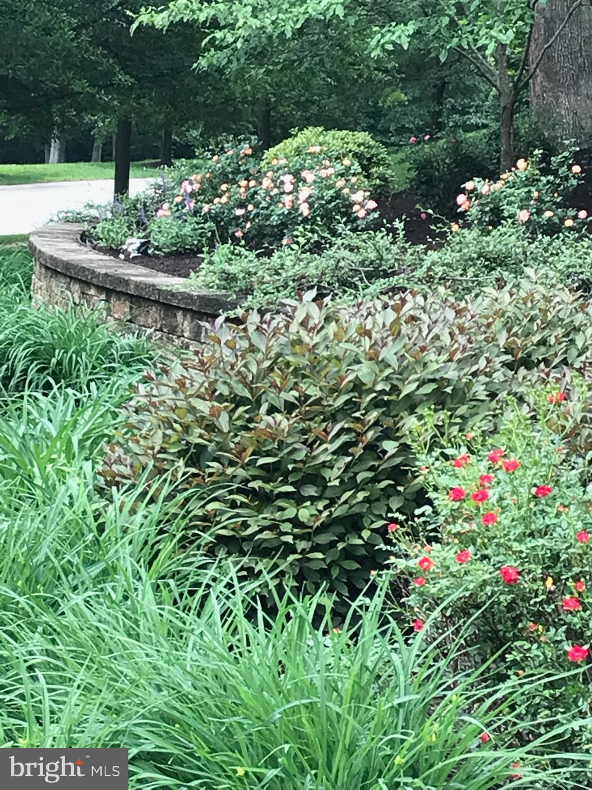 SOUTH RIVER COLONY - Residential