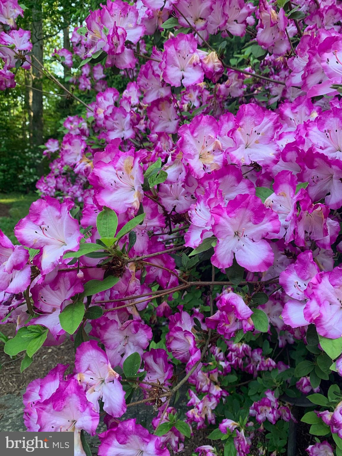 SOUTH RIVER COLONY - Residential