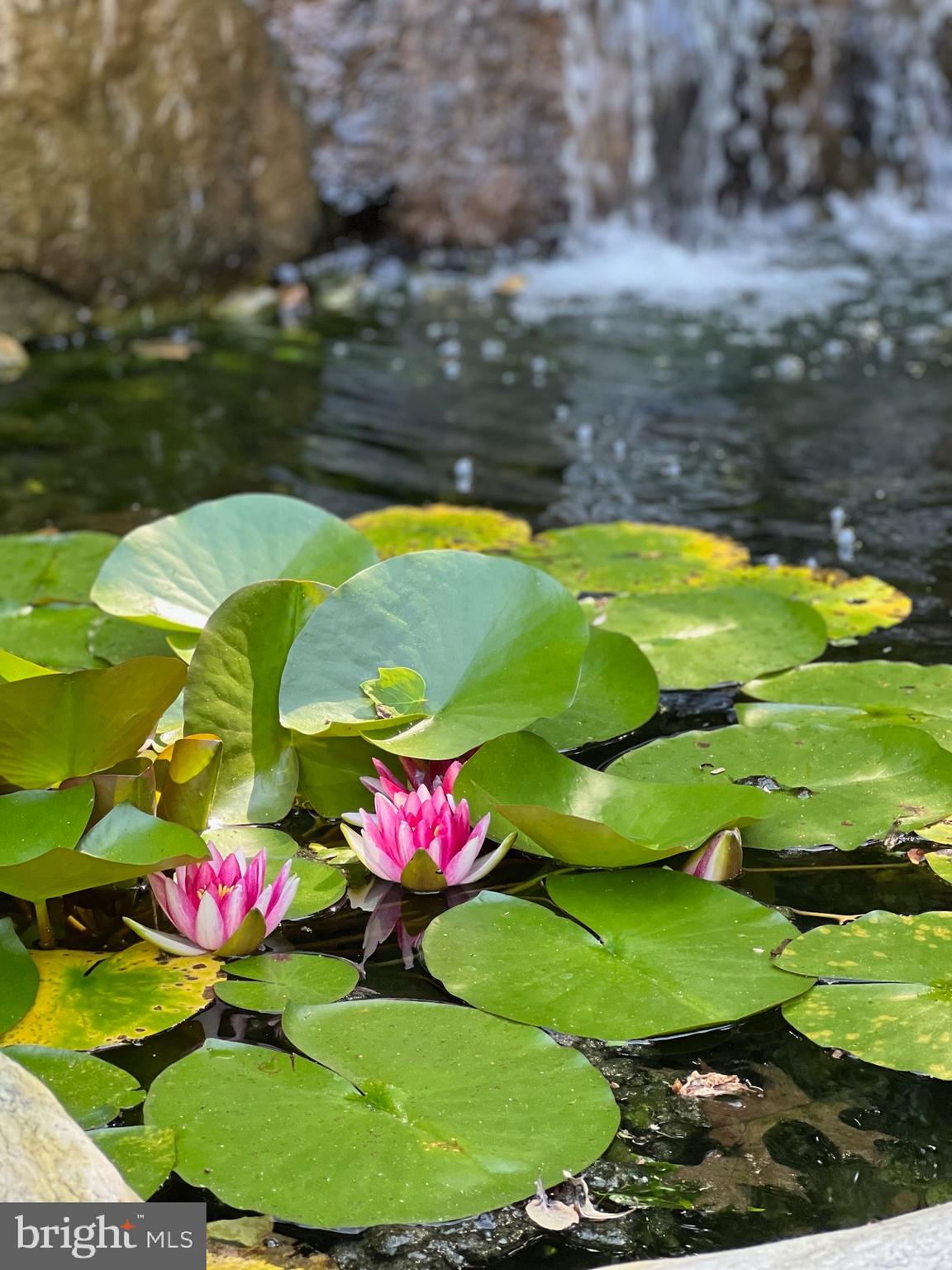 SOUTH RIVER COLONY - Residential