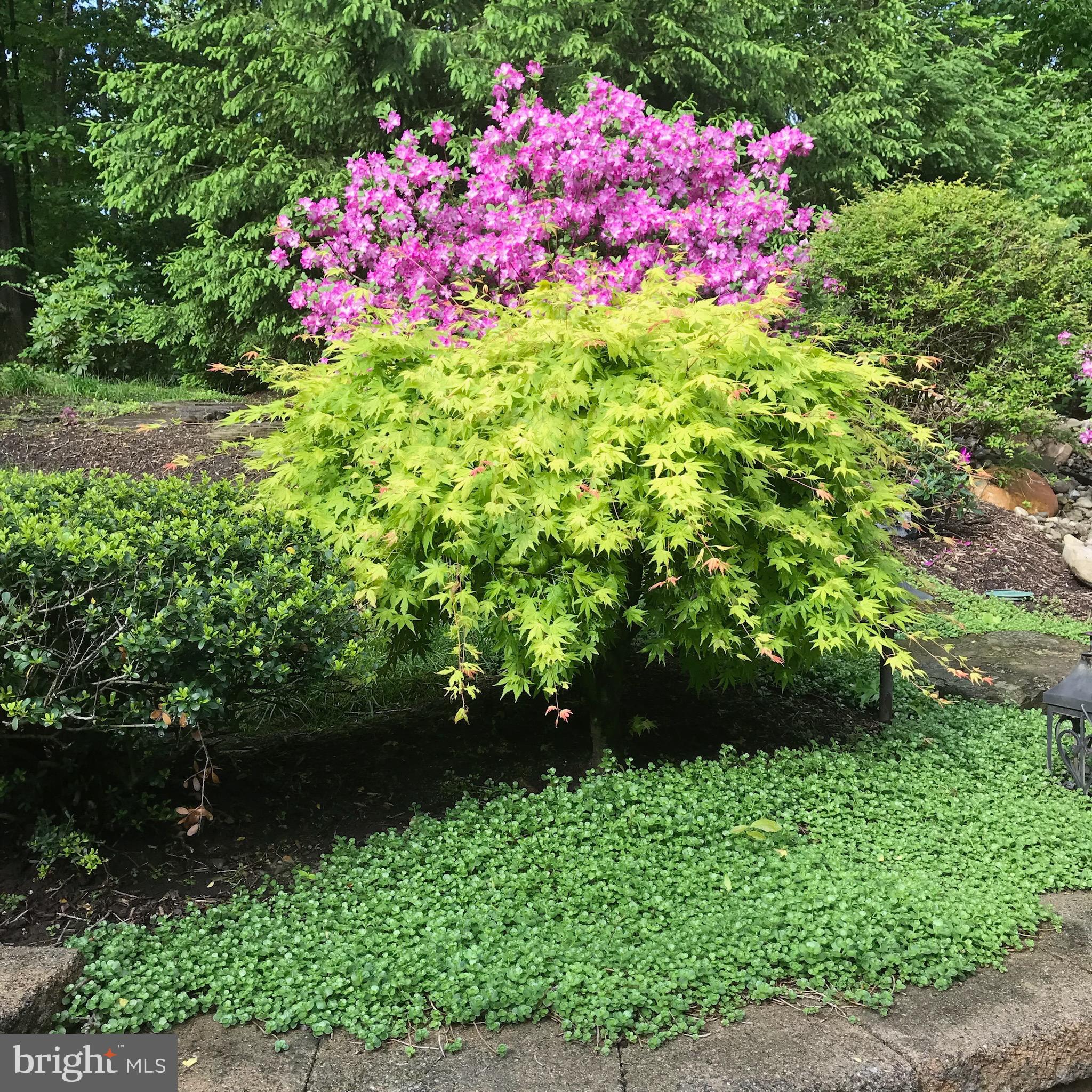 SOUTH RIVER COLONY - Residential