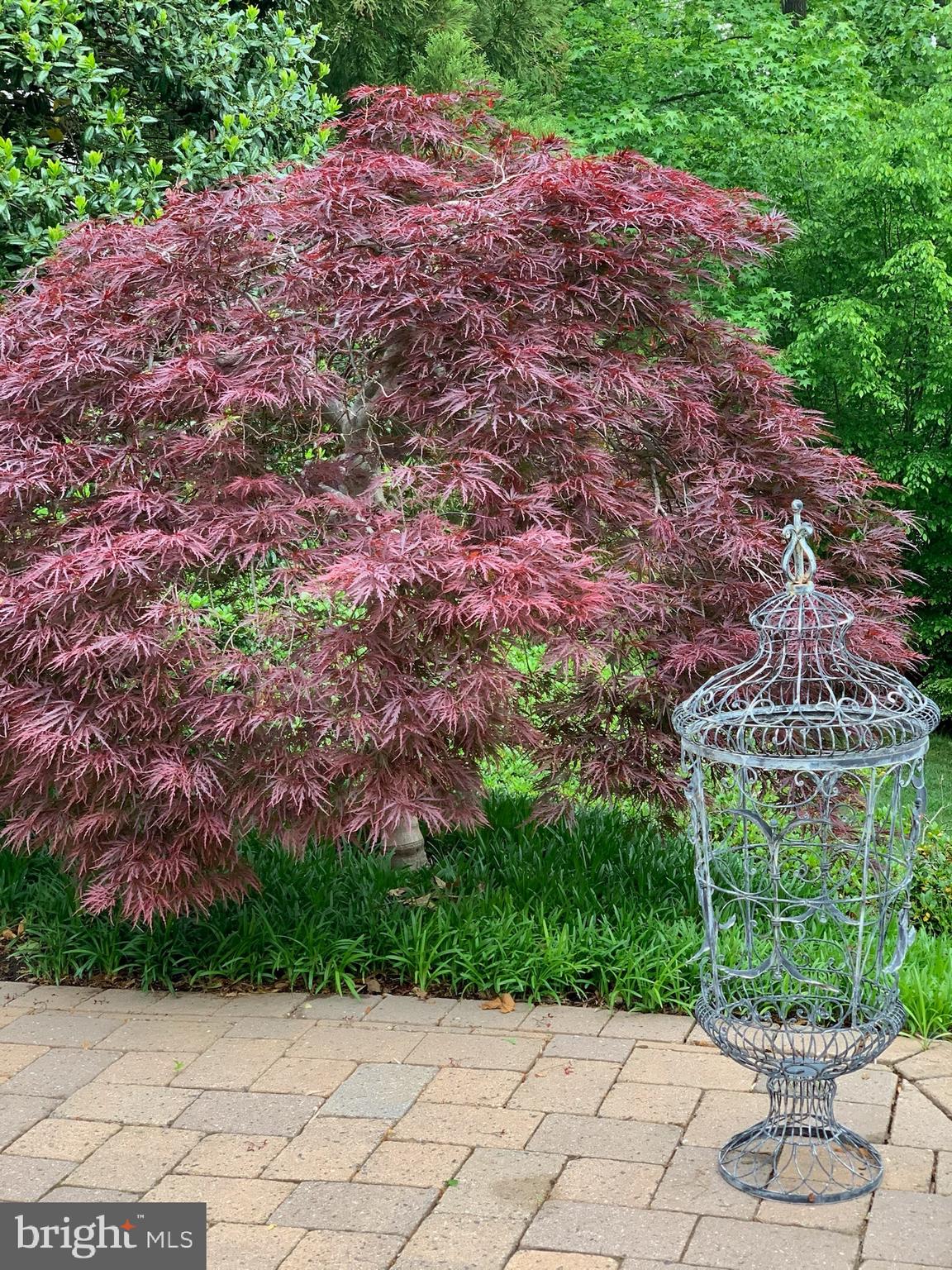 SOUTH RIVER COLONY - Residential