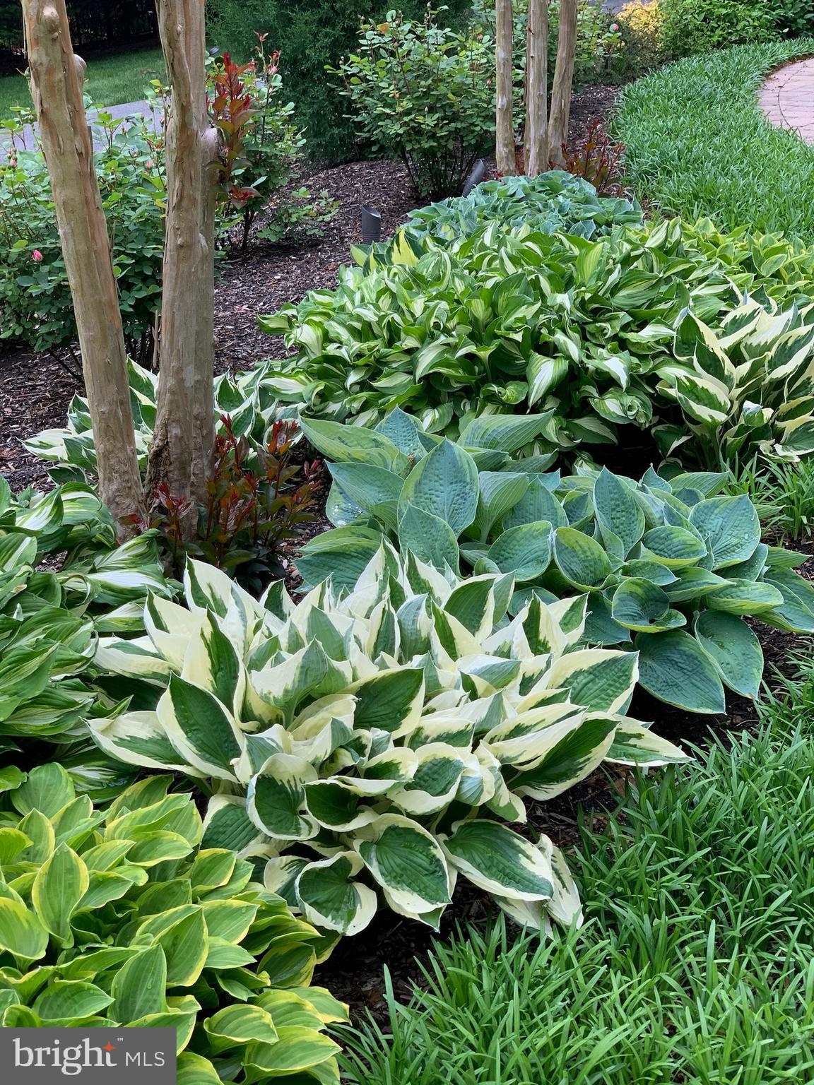 SOUTH RIVER COLONY - Residential