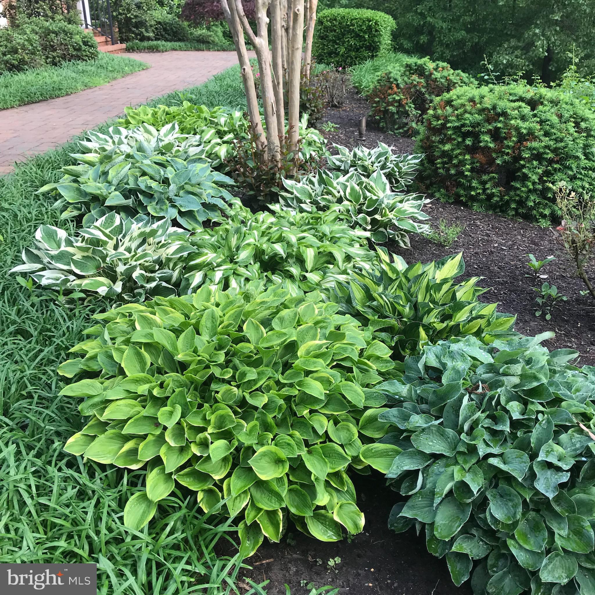 SOUTH RIVER COLONY - Residential