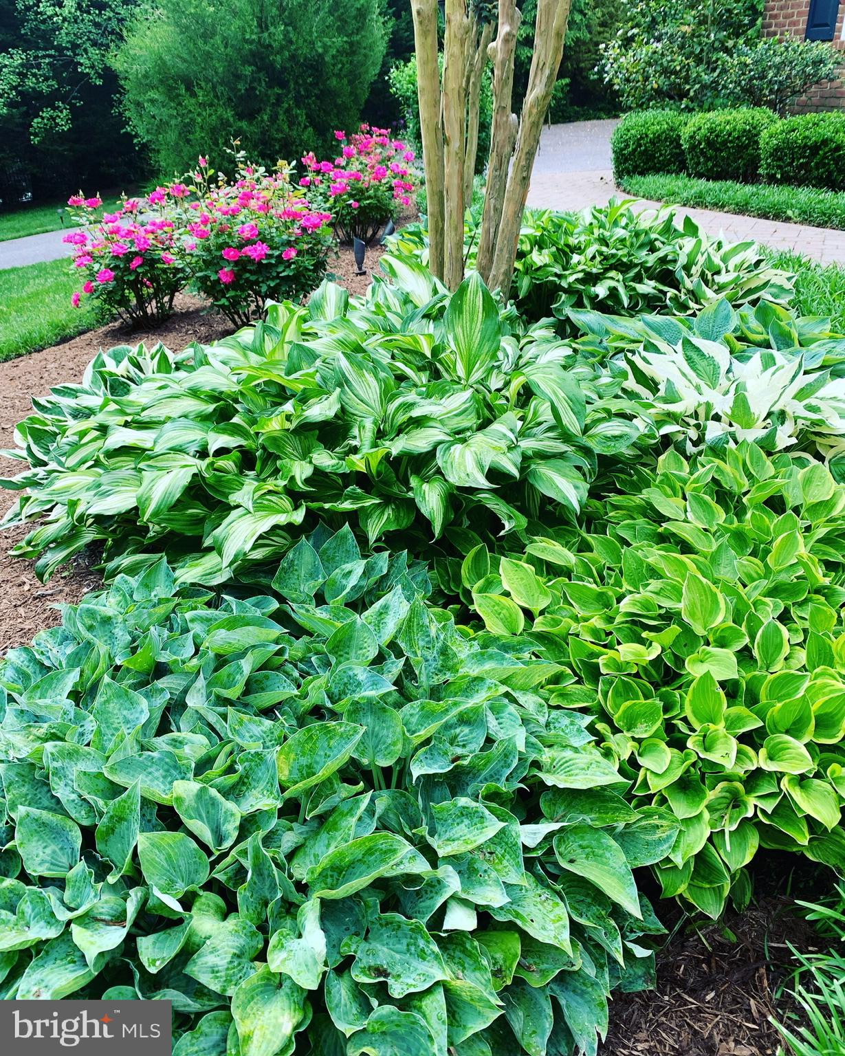 SOUTH RIVER COLONY - Residential