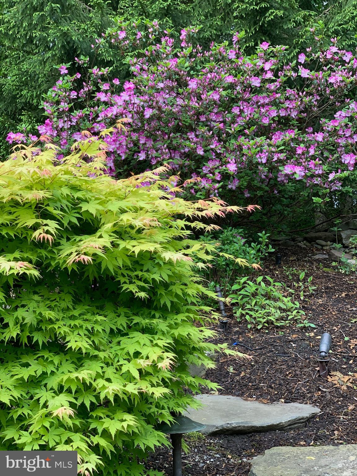 SOUTH RIVER COLONY - Residential