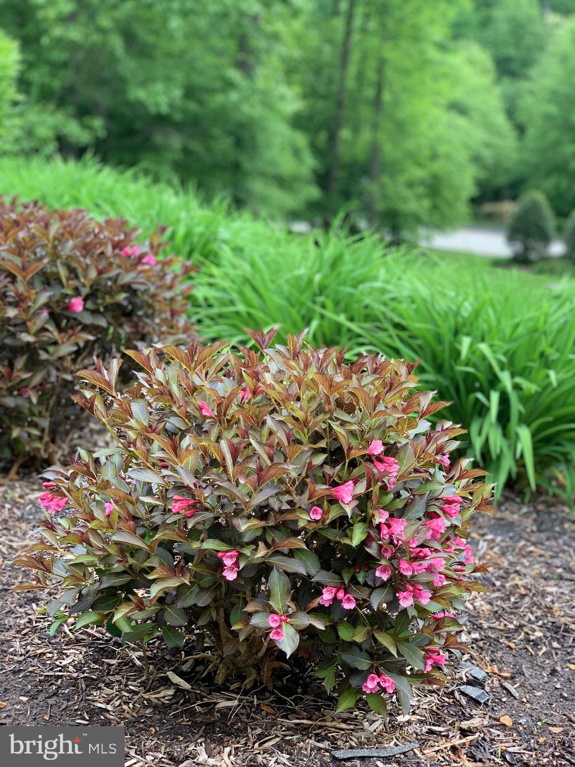 SOUTH RIVER COLONY - Residential