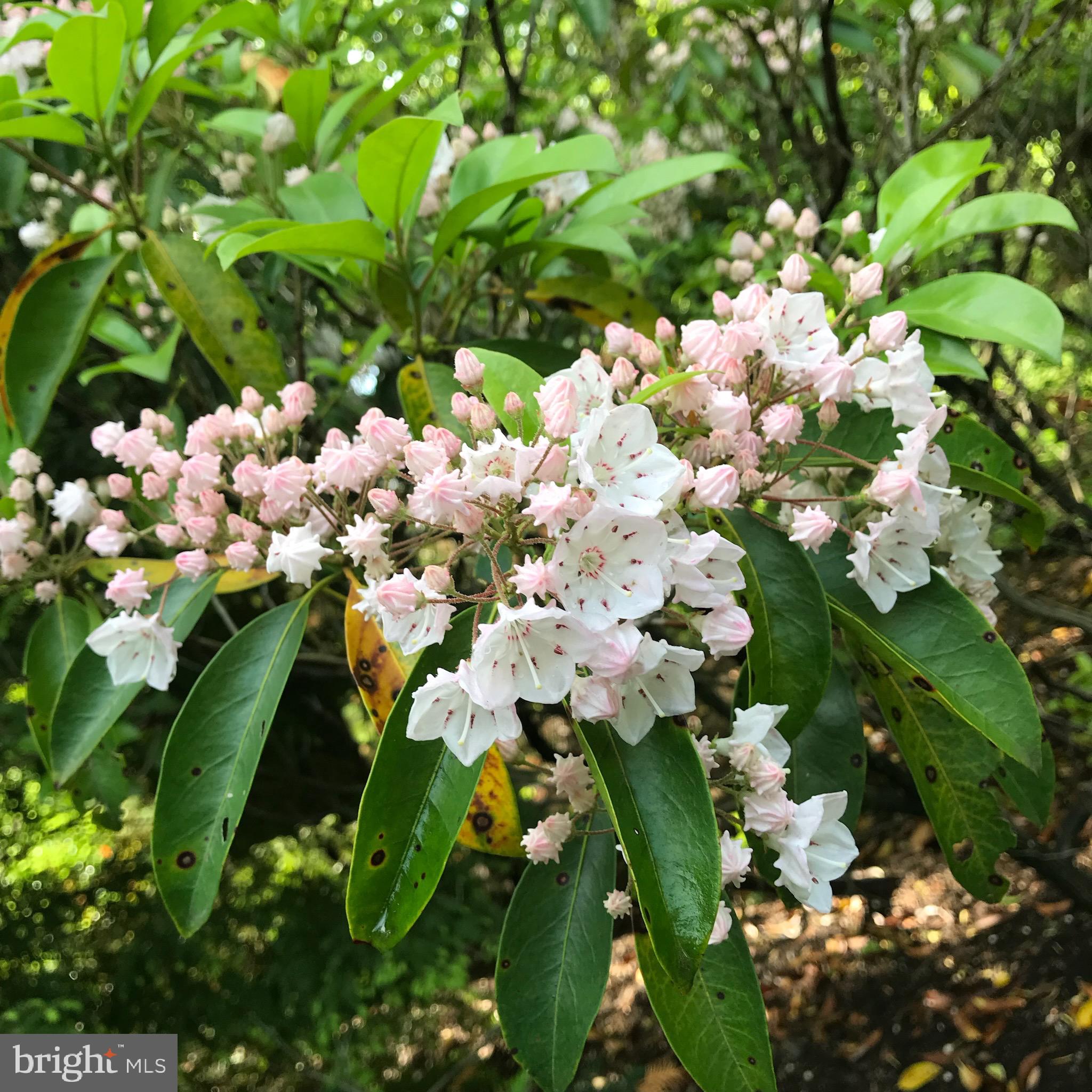 SOUTH RIVER COLONY - Residential