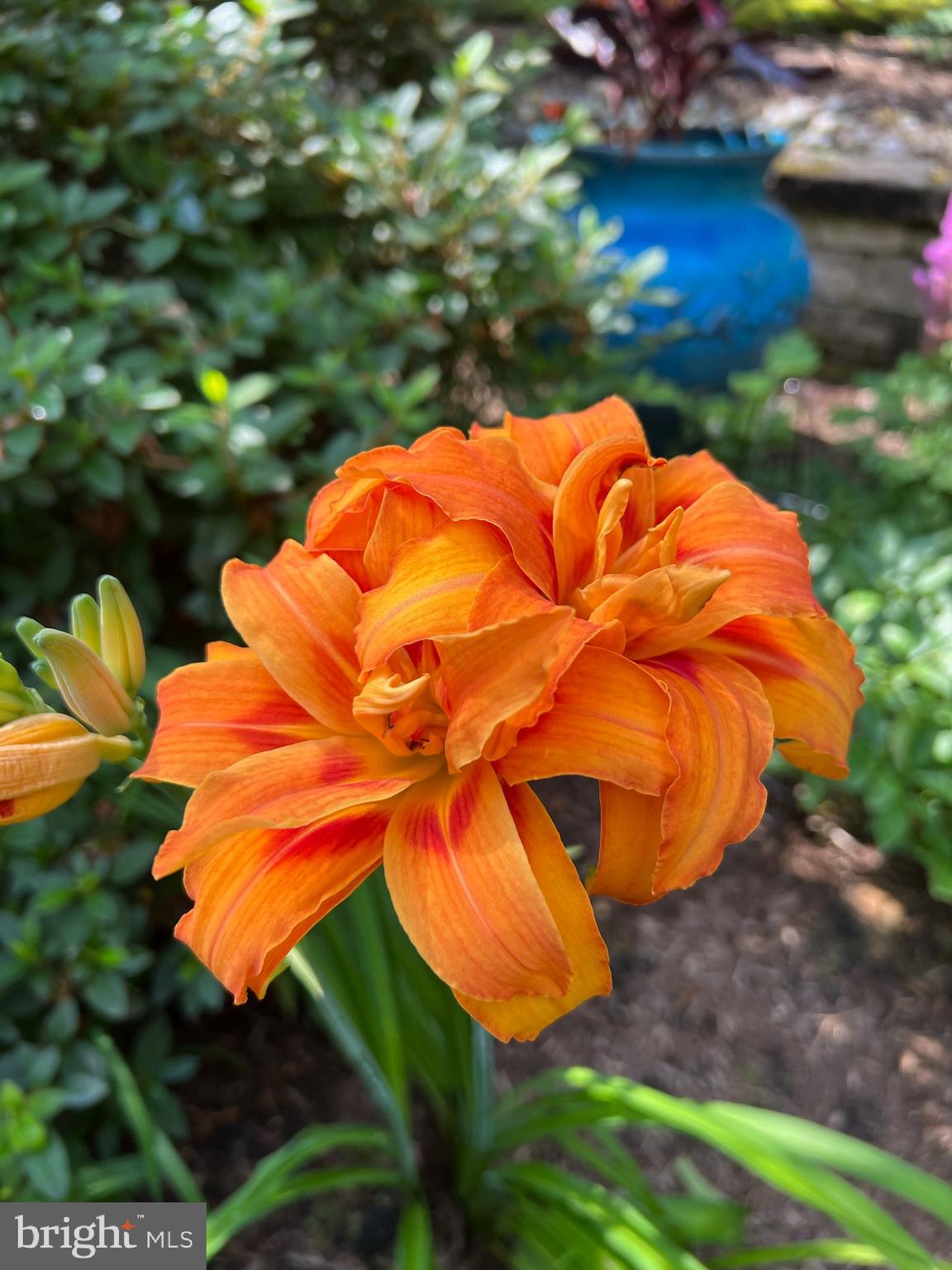 SOUTH RIVER COLONY - Residential