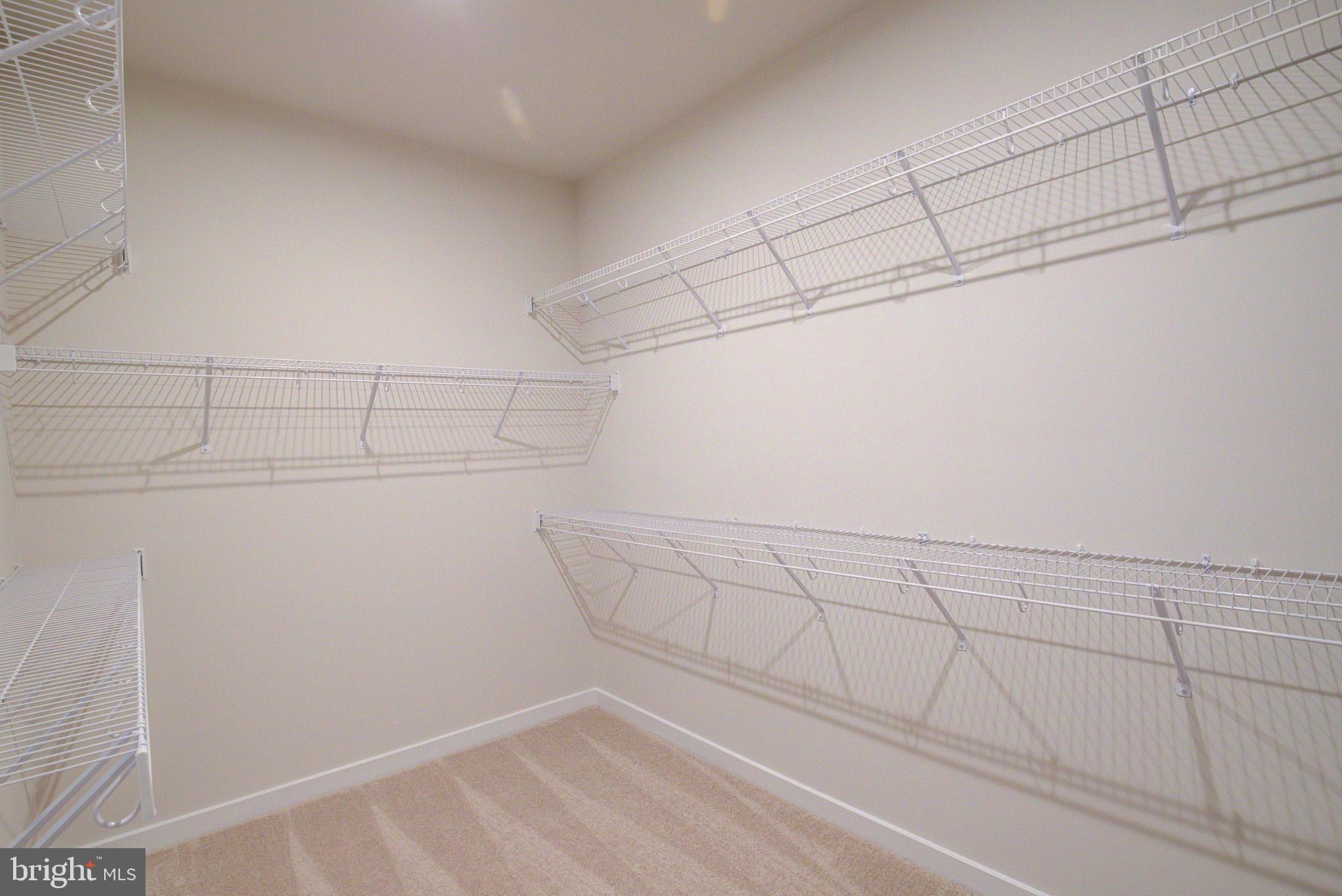 WESTFIELD - Residential Lease