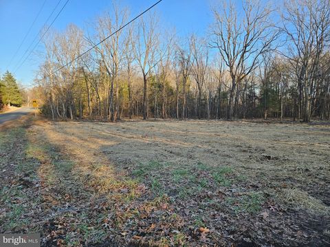 Vacant Land For Sale - 1.4 AC Physic Spring Road<br/> Buckingham County, DILLWYN, VA 23936