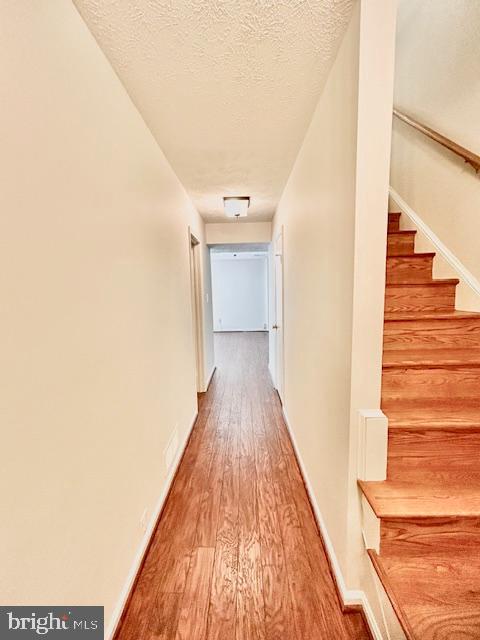 STONEHURST - Residential Lease